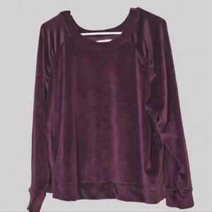 [[Terra & Sky]] Women's Rich Purple Velvet Sweatshirt